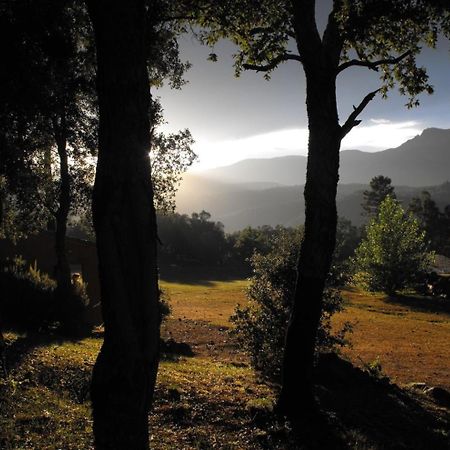 Camping Maçanet de Cabrenys Buitenkant foto