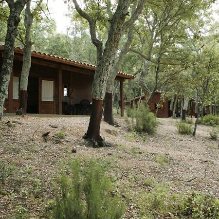 Camping Maçanet de Cabrenys Buitenkant foto