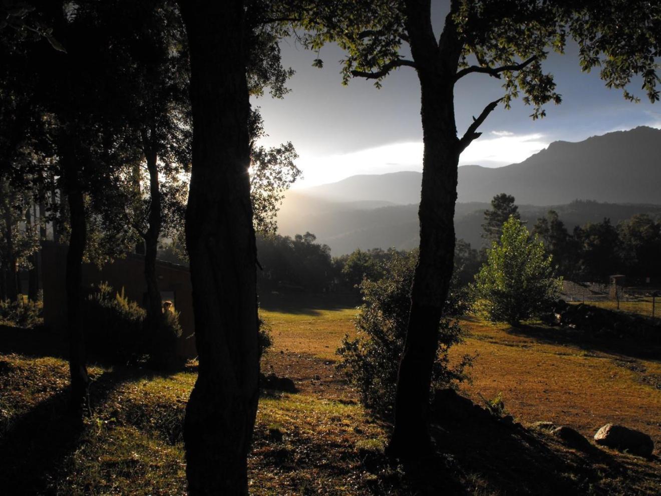 Camping Maçanet de Cabrenys Buitenkant foto
